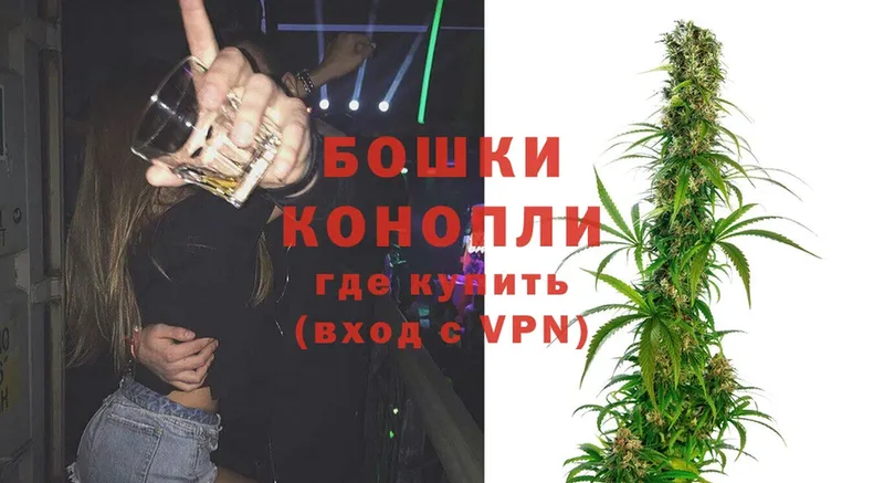 Канабис OG Kush  Красногорск 